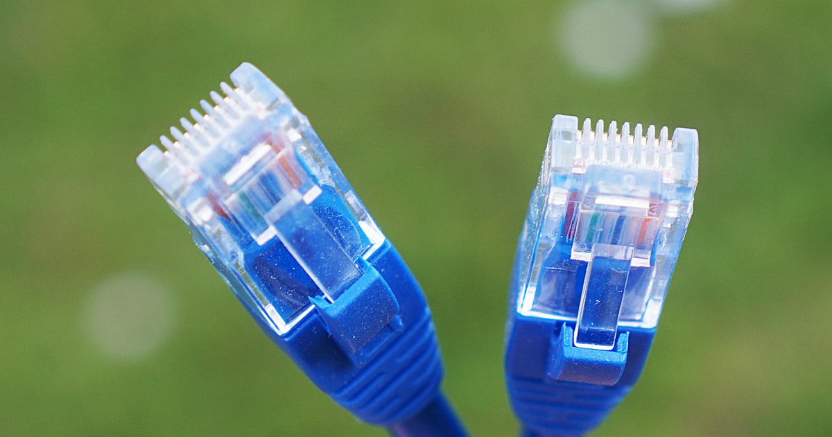 A close-up of Cat6 cables.