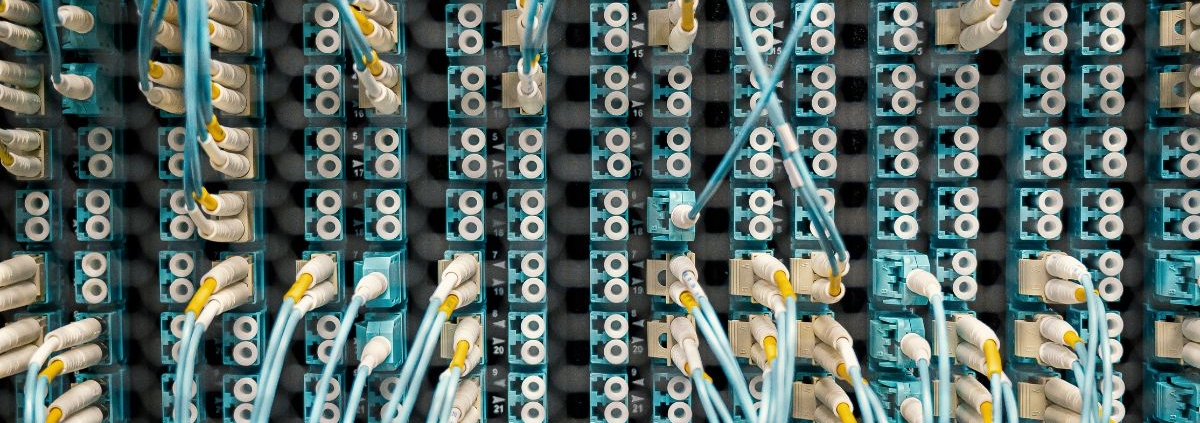 Properly labelled patch panel installed by certified team