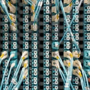 Properly labelled patch panel installed by certified team