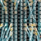 Properly labelled patch panel installed by certified team